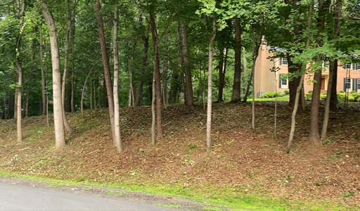 landclearing